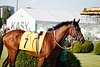 DSC00265.JPG