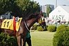 DSC00269.JPG