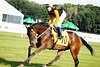 DSC00314.JPG