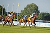 DSC00322.JPG