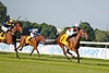 DSC00323.JPG