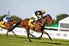 DSC00326.JPG