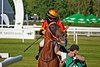 DSC00340.JPG