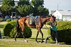 DSC00356.JPG