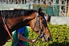 DSC00358.JPG