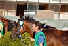 DSC00364.JPG