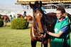 DSC00369.JPG