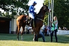 DSC00385.JPG
