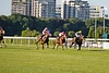 DSC00390.JPG