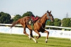 DSC00407.JPG
