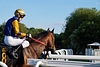 DSC00413.JPG