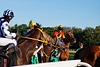 DSC00415.JPG
