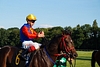 DSC00418.JPG