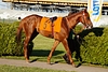 DSC00436.JPG