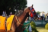 DSC00441.JPG