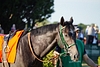 DSC00443.JPG
