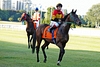 DSC00465.JPG