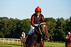 DSC00488.JPG