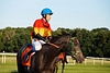 DSC00489.JPG