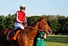 DSC00490.JPG
