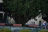 DSC00498.JPG