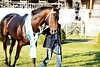 DSC00504.JPG