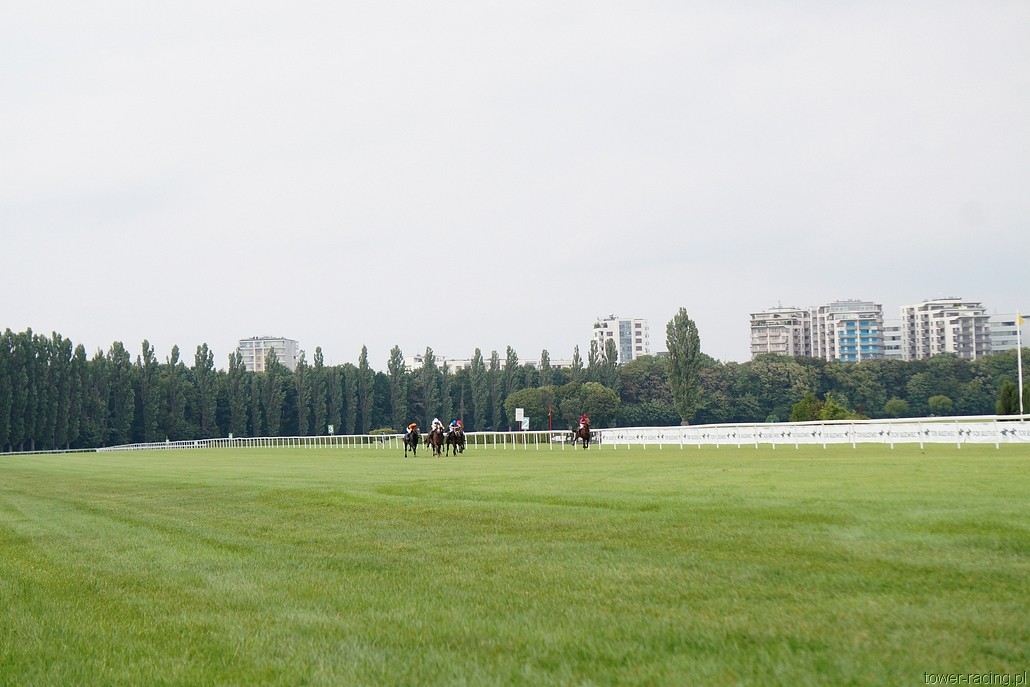 DSC00046.JPG