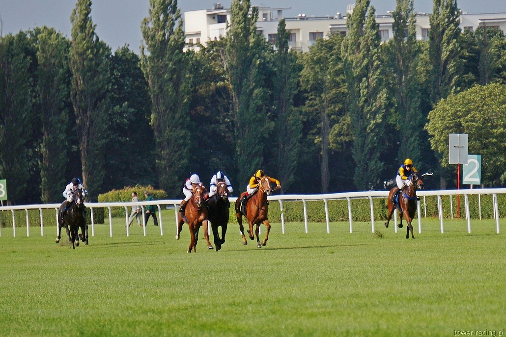 DSC00131.JPG