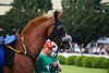 DSC00173.JPG