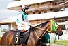 DSC00199.JPG