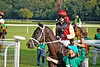 DSC00208.JPG