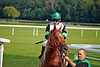 DSC00214.JPG