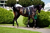 DSC00014.JPG