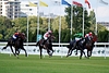 DSC00096.JPG
