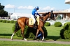 DSC00192.JPG