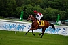 DSC00276.JPG