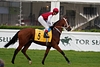 DSC00292.JPG