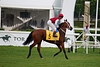 DSC00294.JPG