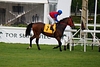 DSC00295.JPG