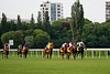 DSC00296.JPG