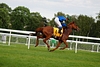 DSC00310.JPG