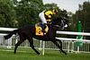 DSC00312.JPG