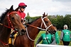 DSC00315.JPG