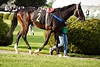 DSC00324.JPG