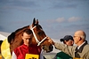 DSC00366.JPG