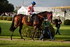 DSC00369.JPG