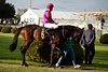 DSC00371.JPG