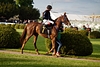 DSC00374.JPG