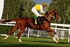 DSC00393.JPG