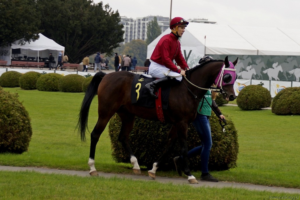 _DSC0111.JPG
